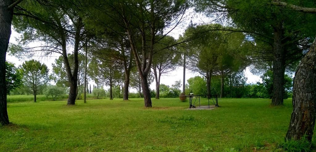 Agriturismo Podere Caggiolo - Swimming Pool & Air Conditioning Marciano della Chiana Экстерьер фото